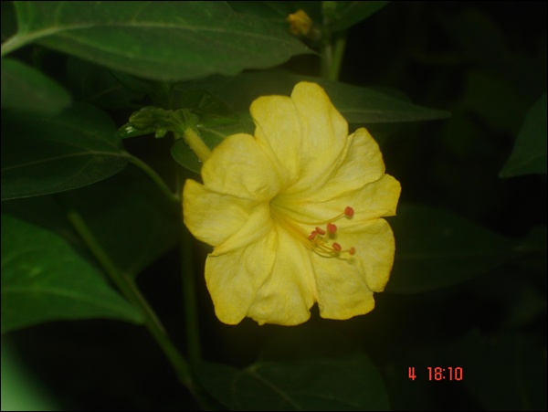 DSC03837.JPG