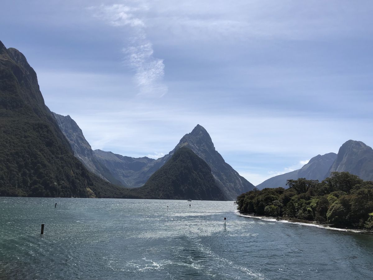 2018-12-28 15.24.20.jpg