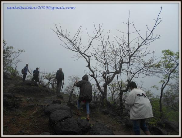 DSCN8929.JPG