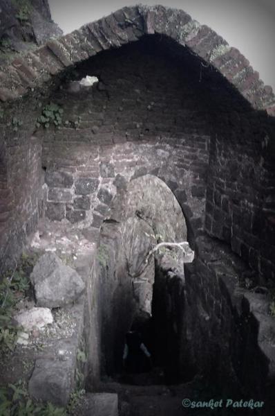 IMAG5135_510x768.jpg