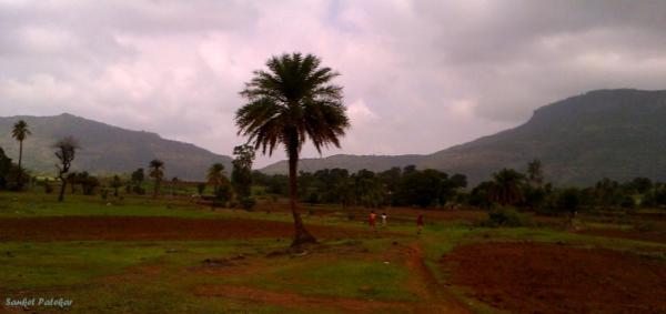 IMAG5226_1024x483.jpg