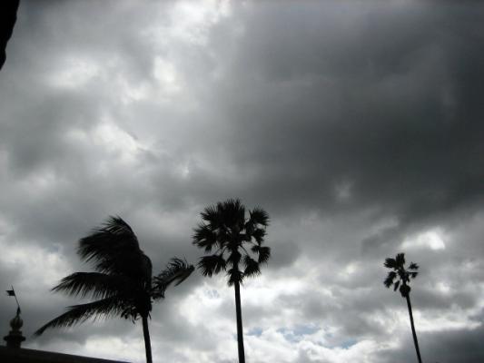 IMG_2150.jpg