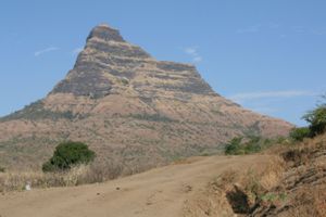 Picture 002.JPG