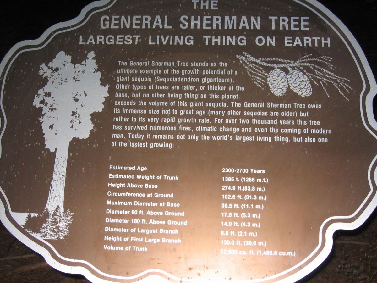 general sherman3.jpg