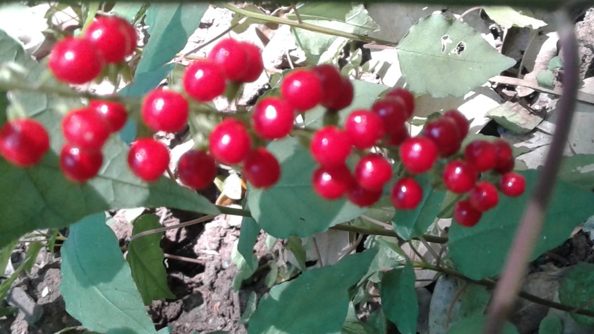 20171105_145731_0.jpg