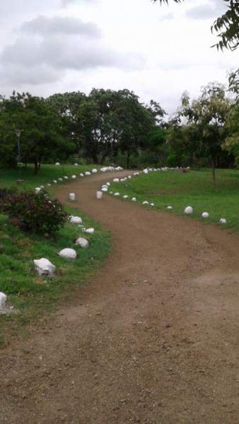 Nagar 1.jpg