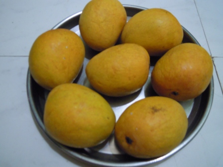Mango 1.jpg