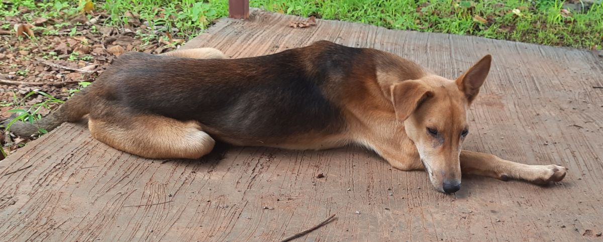 20250609_091954 (1).jpg