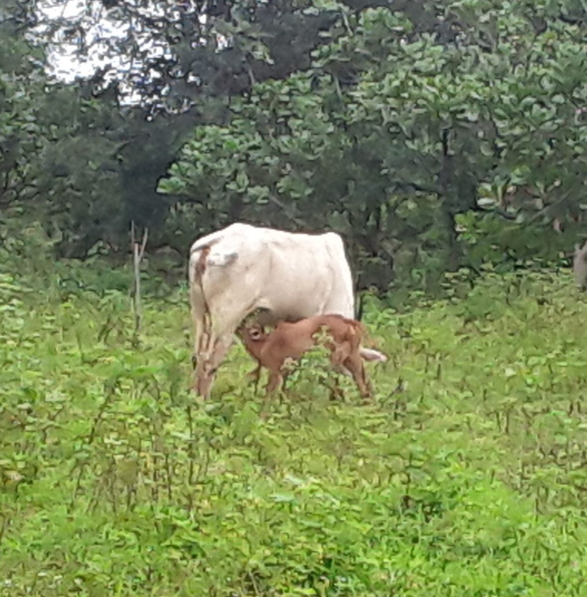 WhatsApp Image 2025-11-06 at 13.27.20.jpeg