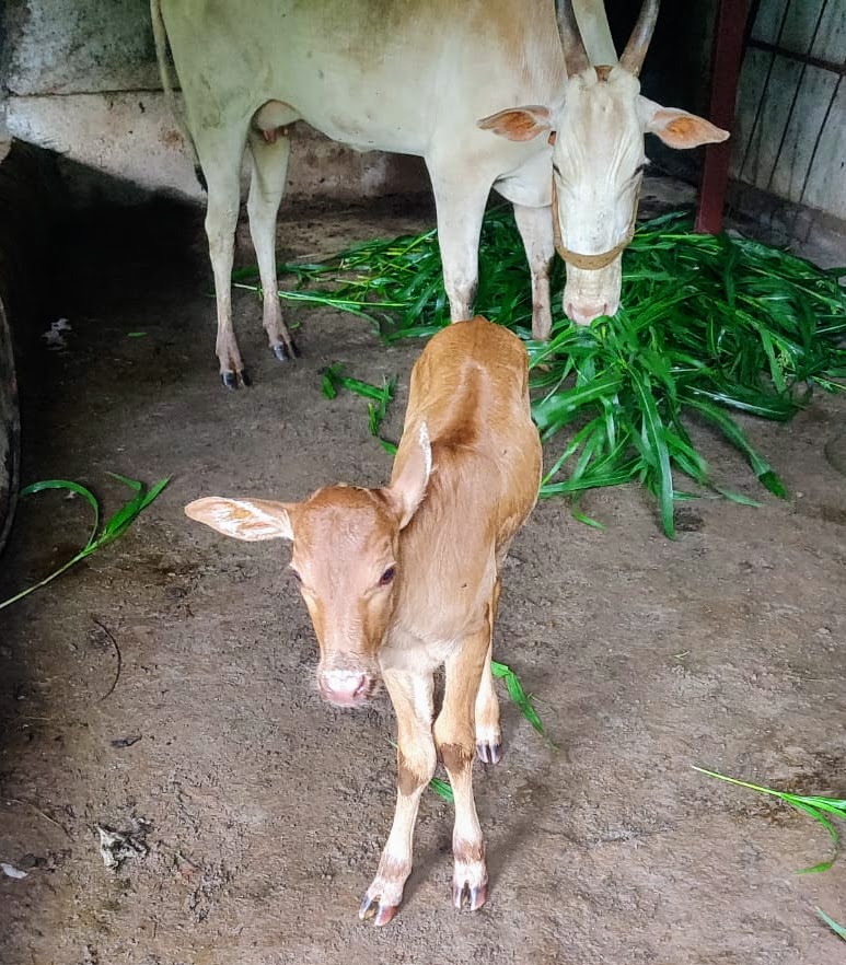 WhatsApp Image 2025-11-06 at 13.29.02 (1).jpeg