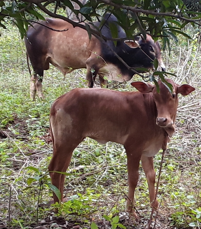 WhatsApp Image 2025-11-06 at 18.41.42.jpeg