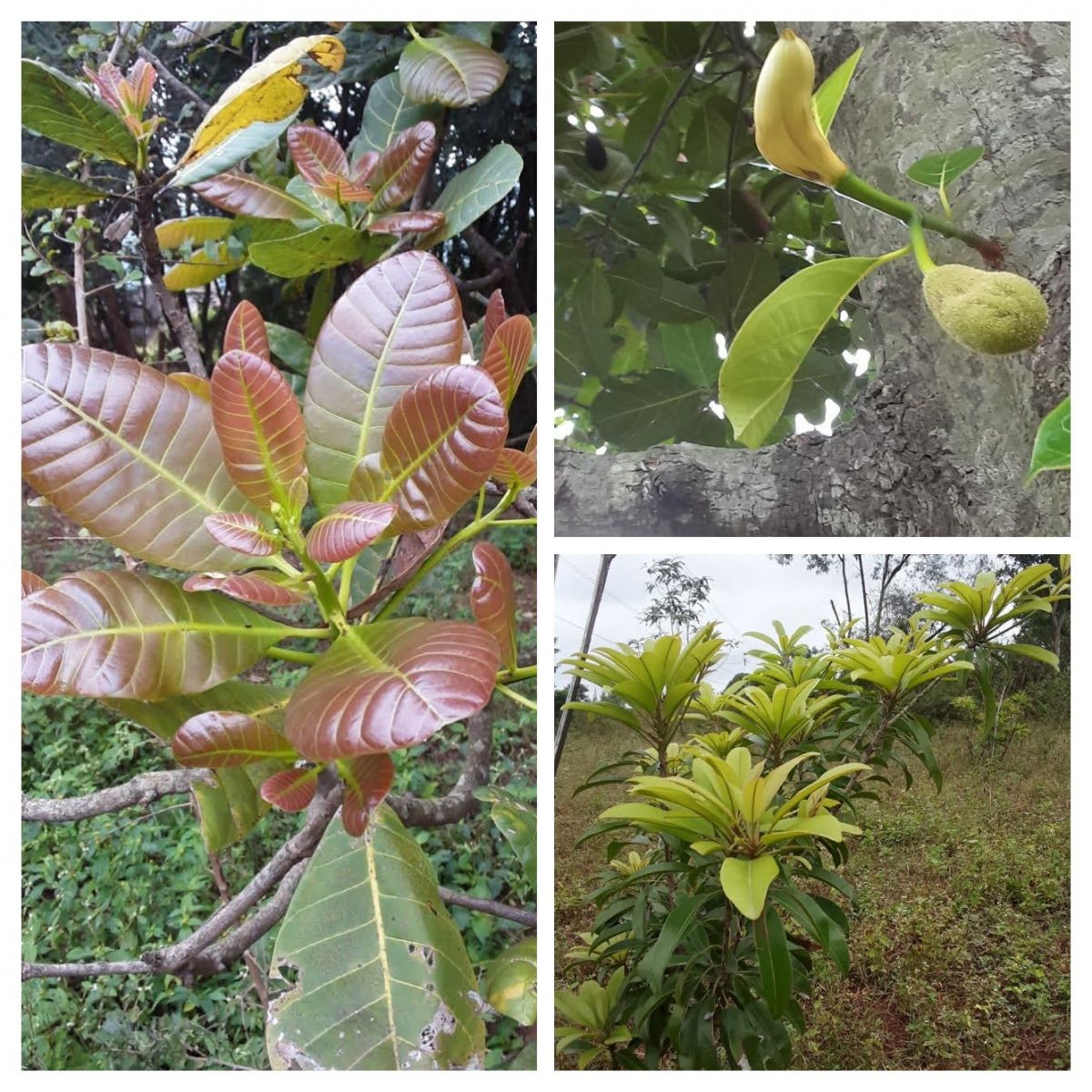 WhatsApp Image 2025-11-06 at 18.46.58.jpeg