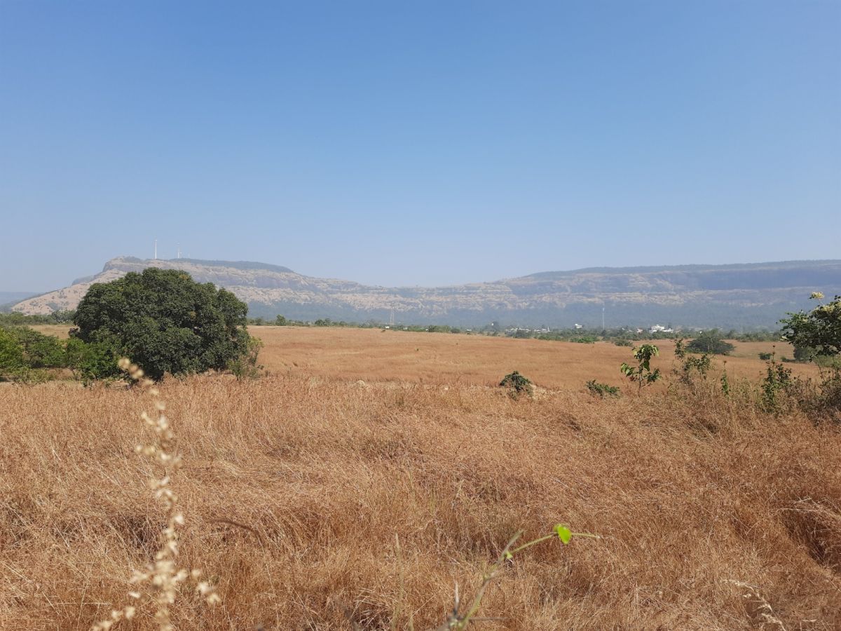 WhatsApp Image 2025-11-06 at 18.53.55.jpeg