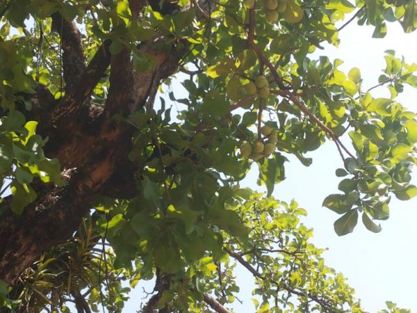 20130428_110249.jpg