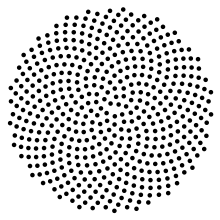 220px-SunflowerModel.svg_.png
