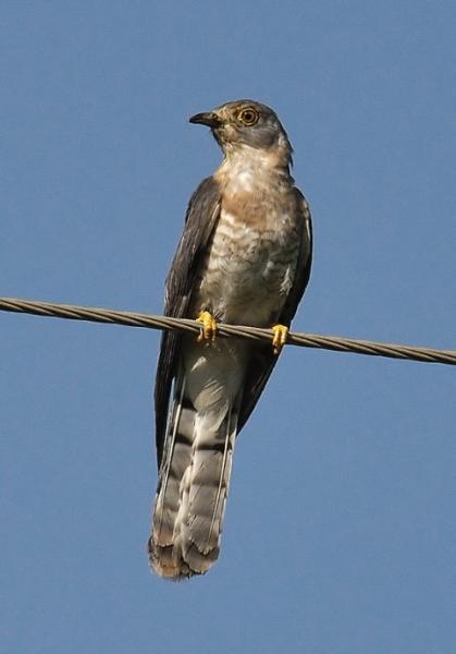 5841259_f496.jpg