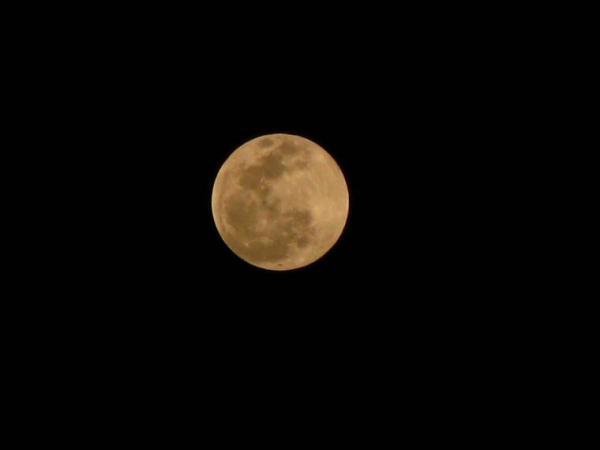 full moon.jpg