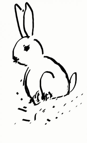 rabbit.jpg