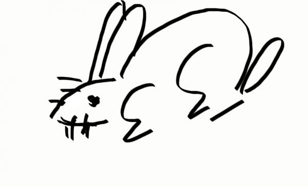 rabbit1.JPG
