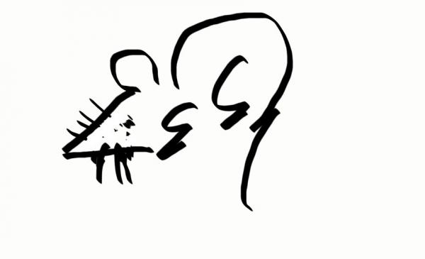sketch-1426675929597.jpg