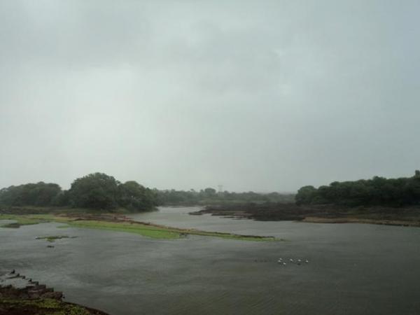 DSC05920.JPG