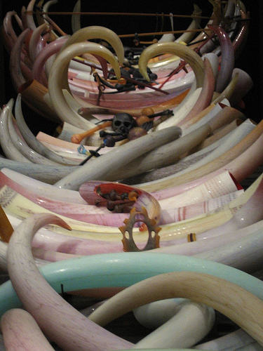 256729762_c60c844682.jpg