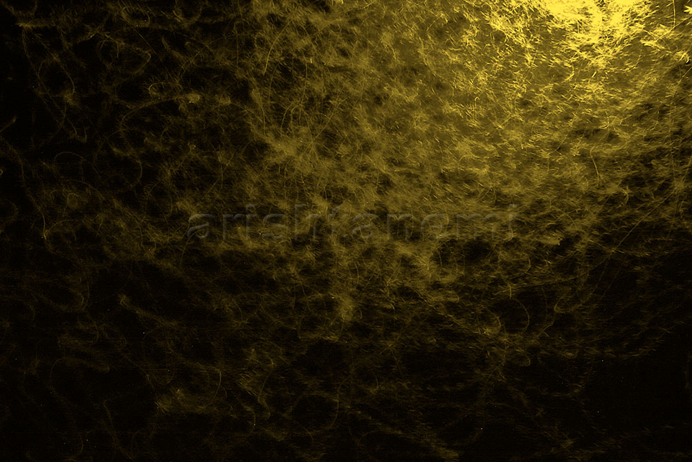9E3A8079a.jpg