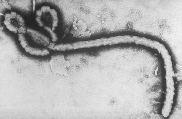ebola2_0.jpg
