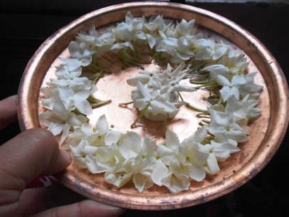 Copy of DSCN1871.jpg