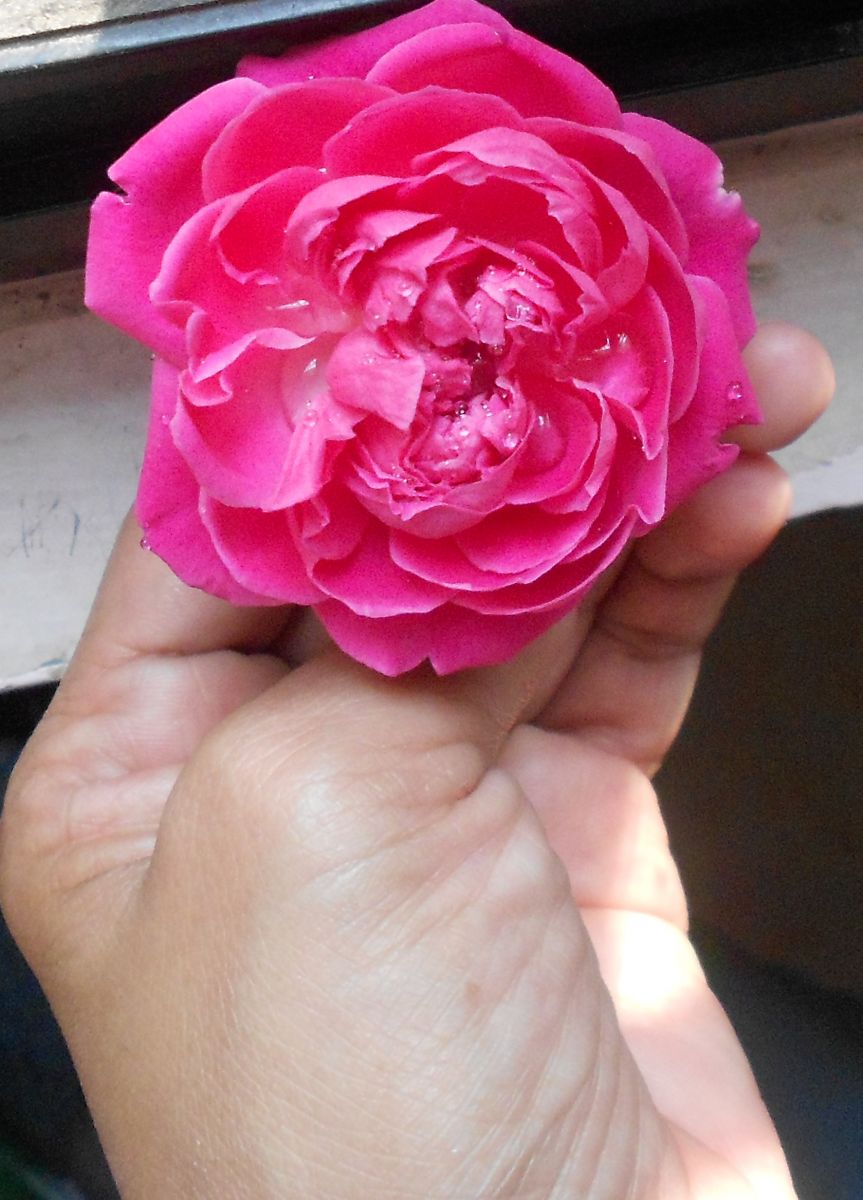 DSCN0933.jpg