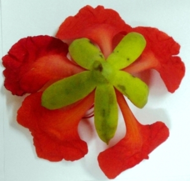 DSCN1693.jpg