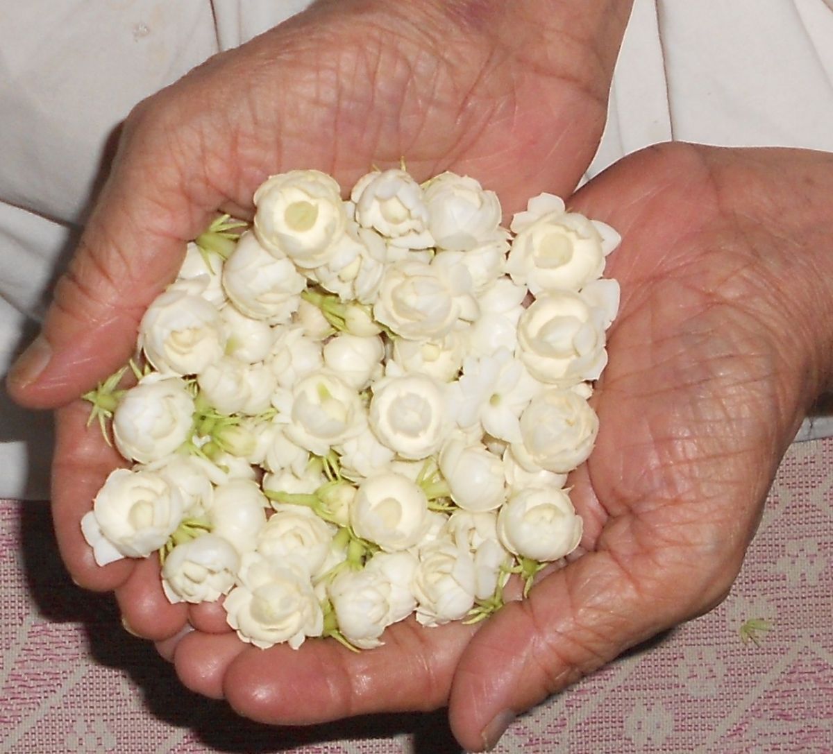DSCN2703.jpg