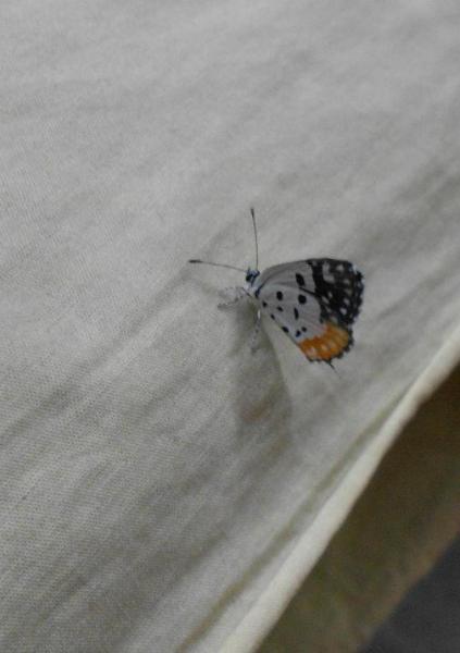 DSCN3013.jpg
