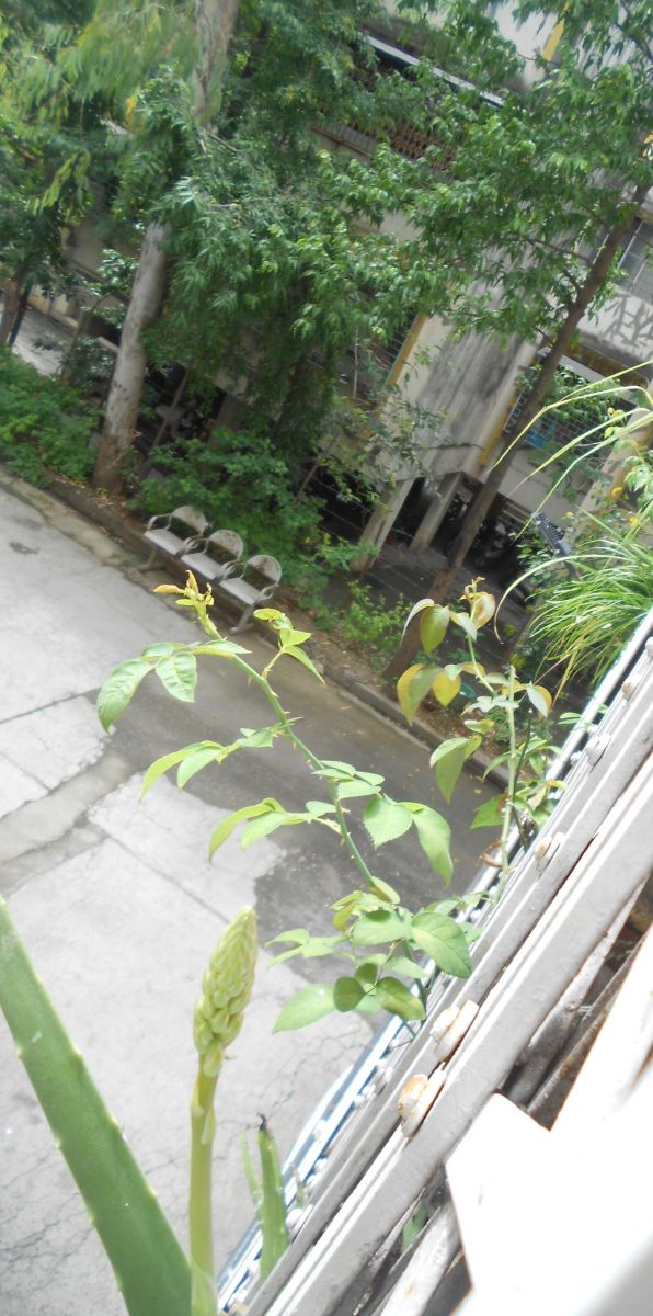 DSCN3107.jpg