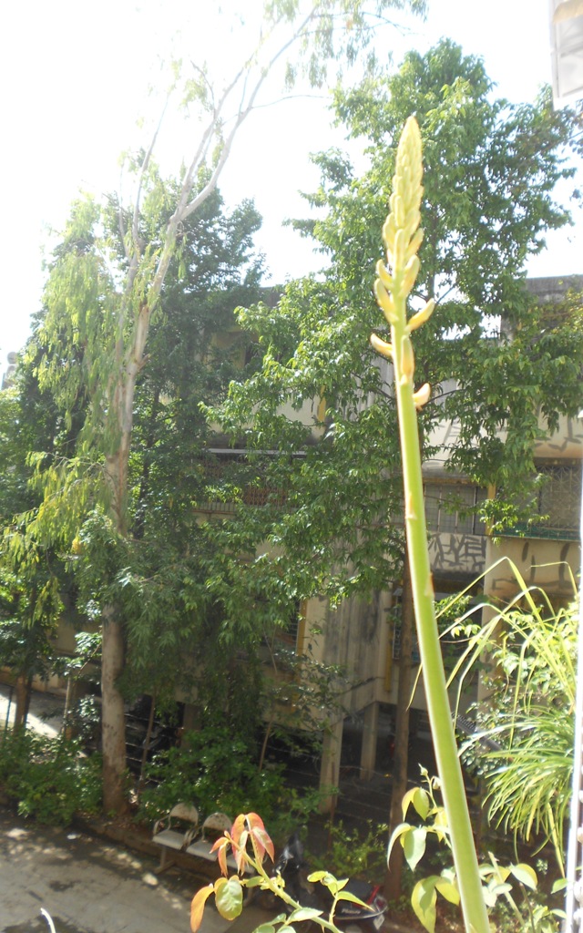 DSCN3156.jpg