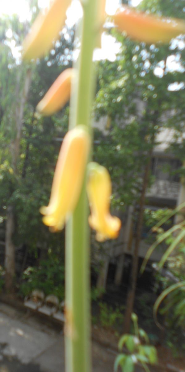 DSCN3208.jpg