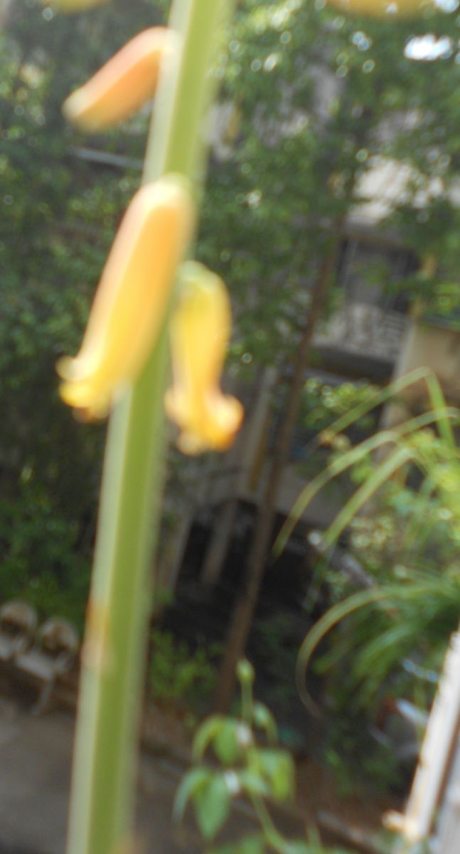 DSCN3209.jpg