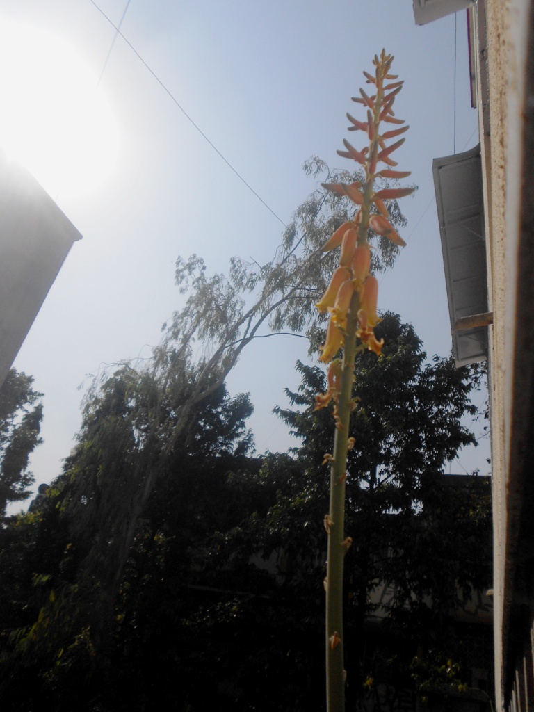 DSCN3334.JPG