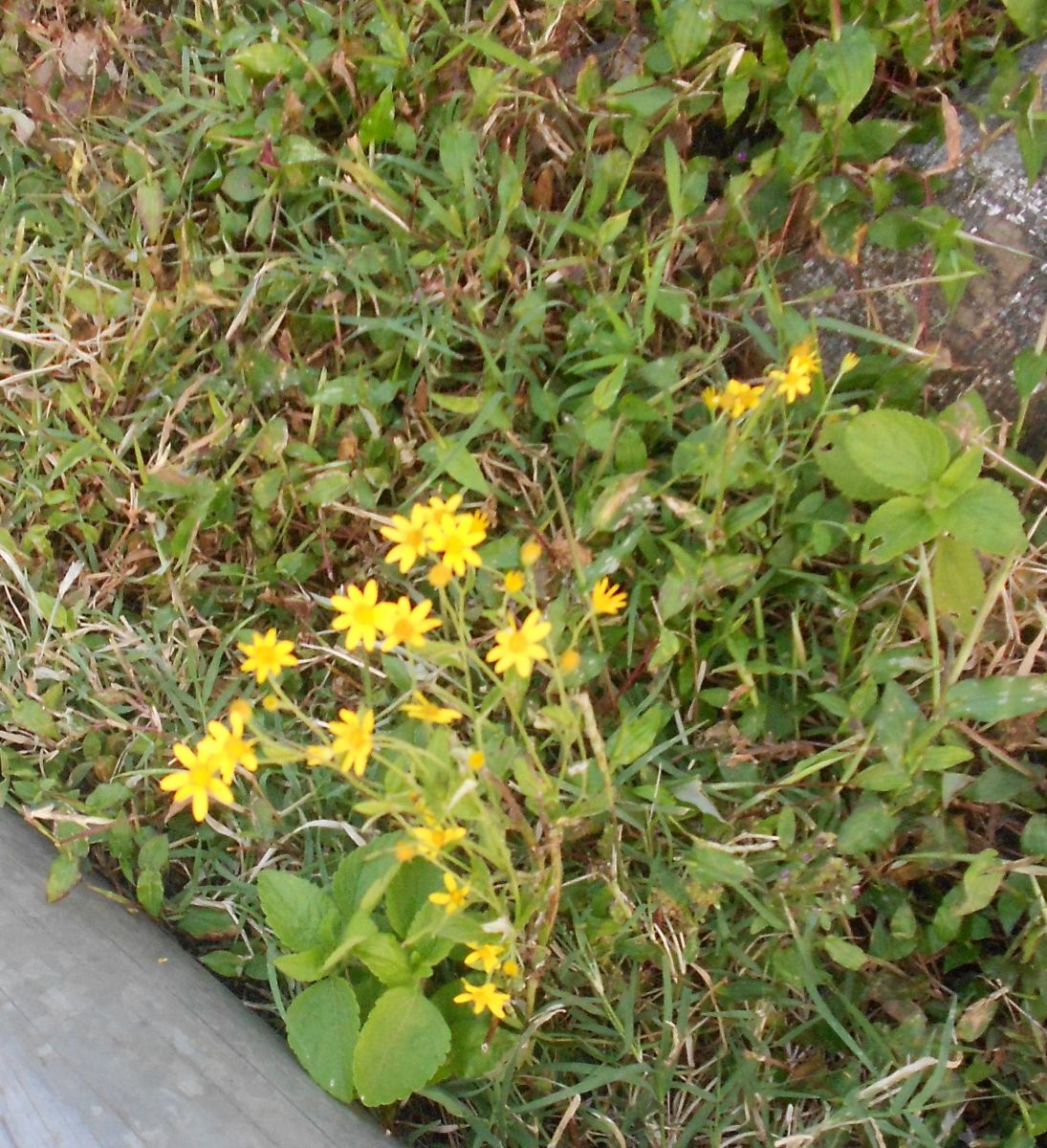 DSCN3512.JPG
