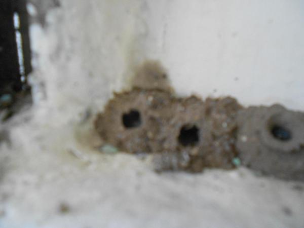 DSCN5107.jpg