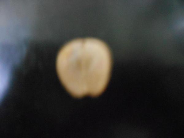 DSCN5909.jpg