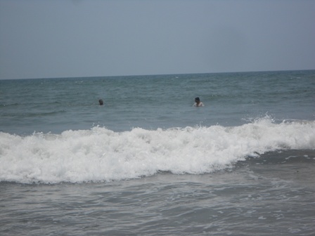 DSCN8220.jpg