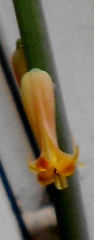 RSCN3213.jpg