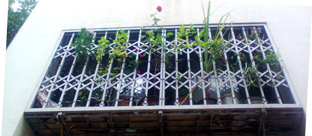 photo1834.jpg