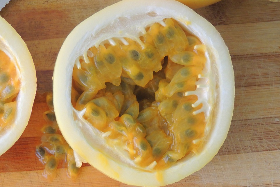 Passion Fruit close up.JPG