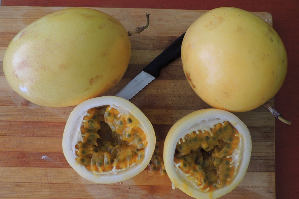 Passion fruit1.JPG