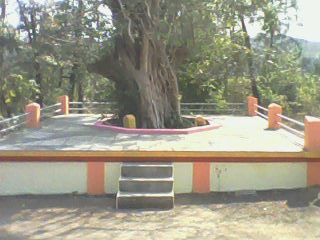 Picture 010_0.jpg