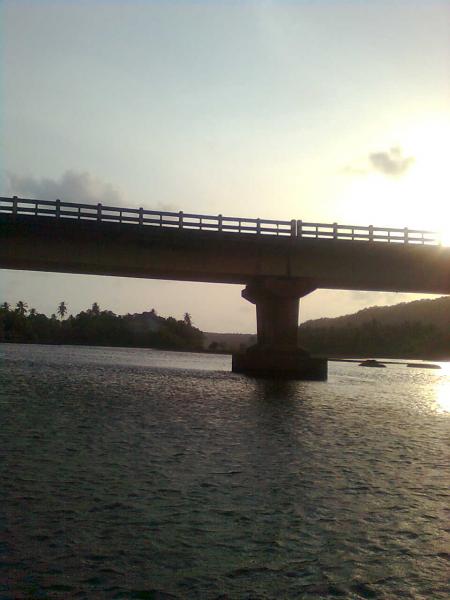 Picture 013.jpg