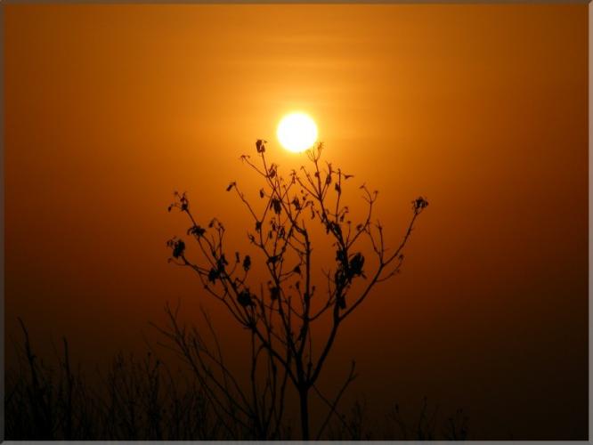 HarishchandraGad50.jpg
