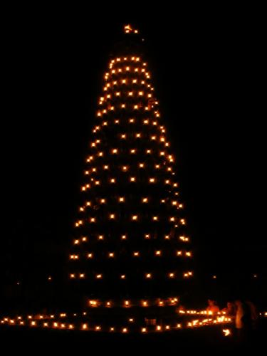 Tripuri_Pournima_12-11-08076.jpg